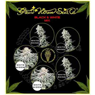 Black and White Mix > Green House Seed Company | Semillas feminizadas  |  Índica